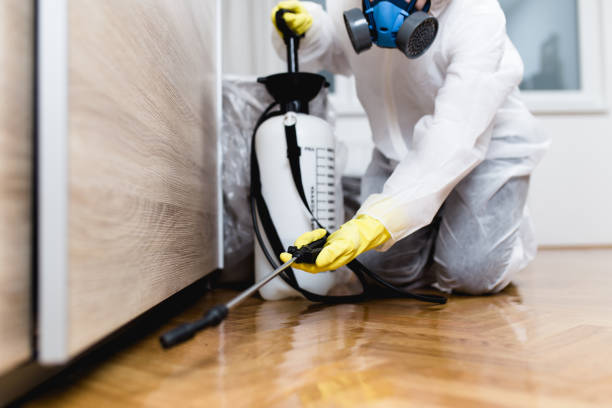 Pest Control Cost in South Run, VA