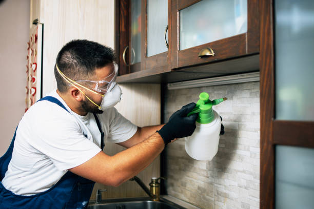 Best Rat Extermination Near Me  in South Run, VA