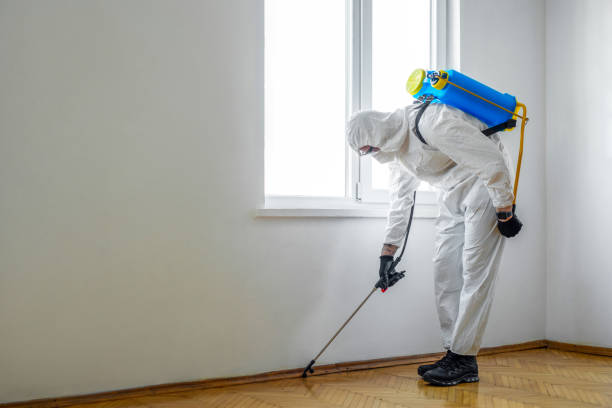 Best Best Pest Control Companies  in South Run, VA