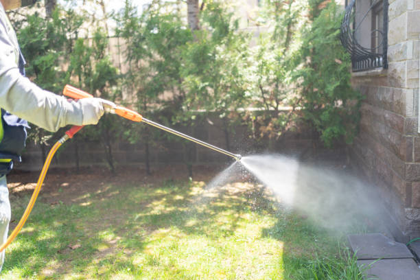 Best Pest Prevention Services  in South Run, VA