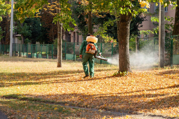 Best Wildlife Control Services  in South Run, VA
