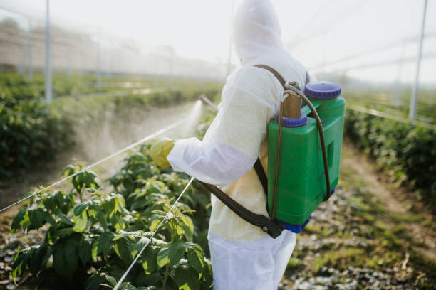 Best Residential Pest Control  in South Run, VA